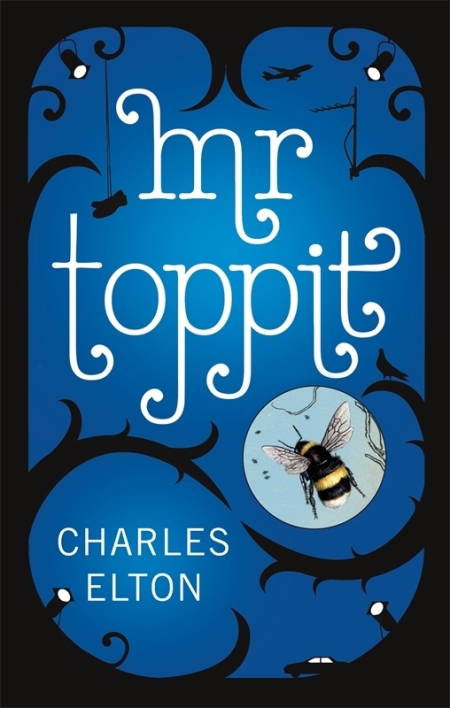 Mr Toppit